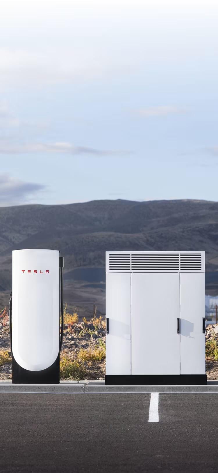 Tes Model Y